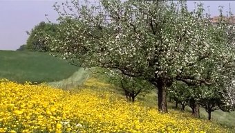 Bu 1977 Porno Filminde Mastürbasyon Ve Am Yalama