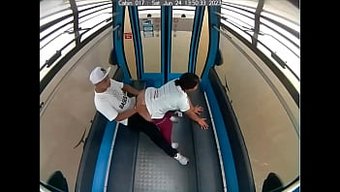 Amai Rosetti'Nin Amı Bu Yeni Videoda Büyük Siyah Bir Yarakla Doluyor