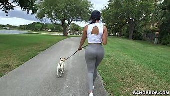 Diamond Kitty'Nin Büyük Poposuyla Sert Anal Eylem