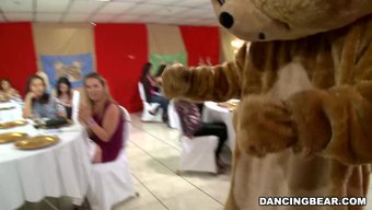 Bu Yüksek Çözünürlüklü Videoda Ünlü Dans Eden Ayı Ile Festivallere Katılın! (Db9822)