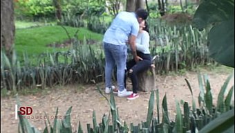 Kolombiyalı Bir Çifti Halka Açık Yeşil Bir Alanda Gizlice Gözlemlemek