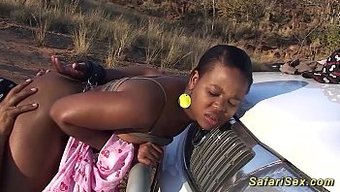Büyük Yarraklar Ve Derin Boğazlarla Unutulmaz Bir Afrika Porno Macerasına Hazır Olun!