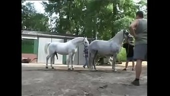 Büyük Yarrağı Olan Porno Yıldızı Orgisi Ve Içine Boşalma Eylemi