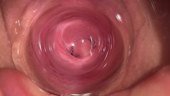 Ev Yapımı Videoda Üvey Kız Kardeşim Için Derin Boğaz Ve Yüz. Içine Boşalma