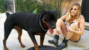Büyük Göğüslü Sarışın Samantha Saint Çıplak Soyunuyor Ve Mastürbasyon Yapıyor
