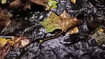 Femdom Mistress, Kölesini Merhamet Dilemeye Zorluyor