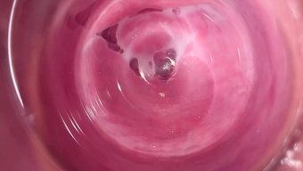 Amatör Kız Mia, Ev Yapımı Videoda Ince Amını Deliyor