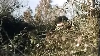 Vintage Bir Filmin Retro Hikayesi: Kırmızı Hood