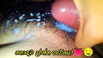 Tüylü Karısı Ev Yapımı Sinhala Porno Filminde Büyük Yarrağıyla Beceriliyor