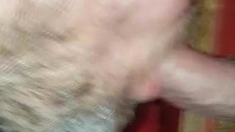 Amatör, Gloryhole Aracılığıyla Büyük Bir Yarak Emiyor Ve Yutuyor