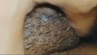 Dhaka Xxx Videomda Bangladeşli Amatör Olarak Performansımı Izle