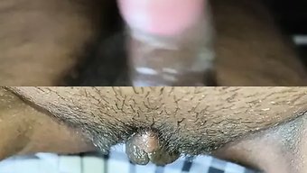 Yoğun Tamil Çiftin Irklararası Buluşması Yakından Yakalandı