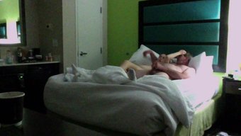 Amerikan Üniversitesi'Nin Florida Macerası: Pornografya Gezisi
