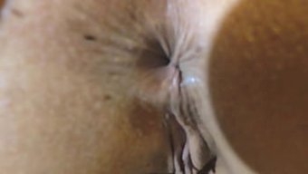 Büyük Kalçalı Latin Porno Yıldızı Amını Genişletiyor