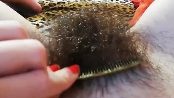 Büyük Tüylü Amcık Squirting Orgazmıyla Islanıyor Ve Vahşi Oluyor