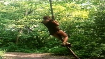 Tarzan'In Yüksek Kaliteli Italyan Sinemasındaki Vahşi Macerası