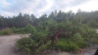 Adeli5100'Ün Halka Açık Park Etme Parmaklama Orgazmı: Çek Pov'Su