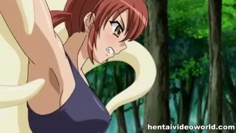 Sevimli Genç Kızlarla Ingilizce Çizgi Film Hentai Videoları